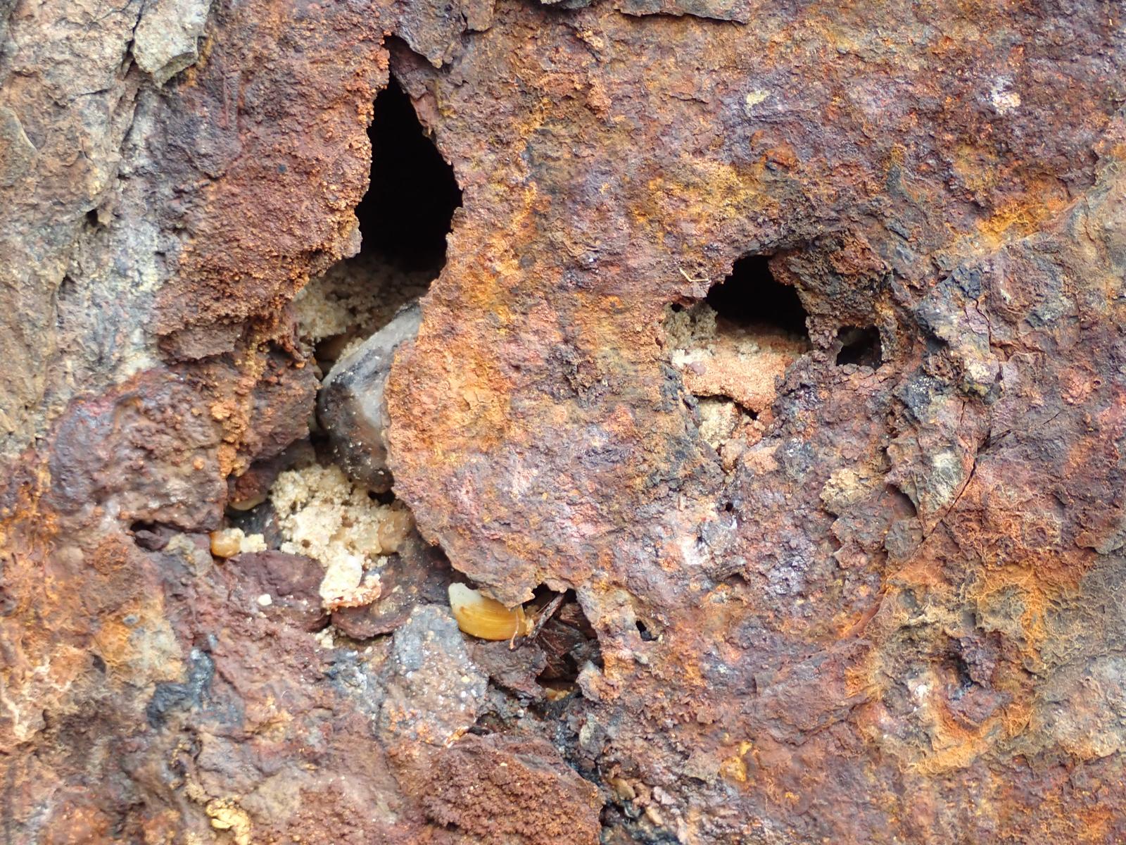 Sheet pile repair 5